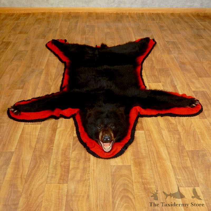 Black Bear Full-Size Rug For Sale #17254 @ The Taxidermy Store