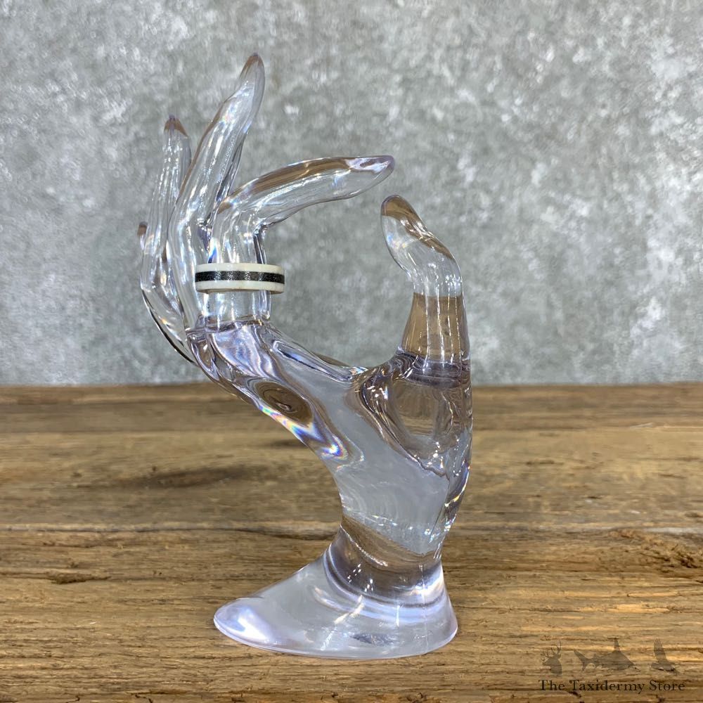 Whitetail Deer Antler Ring with Magnetite Inlay For Sale #21208 @ The Taxidermy Store