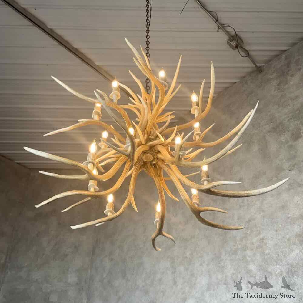 Axis Deer Antler Chandelier For Sale #31643 @ The Taxidermy Store