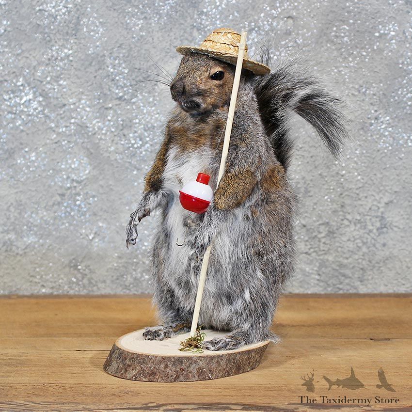Novelty Fishing Squirrel Mount #11933 For Sale @ The Taxidermy Store