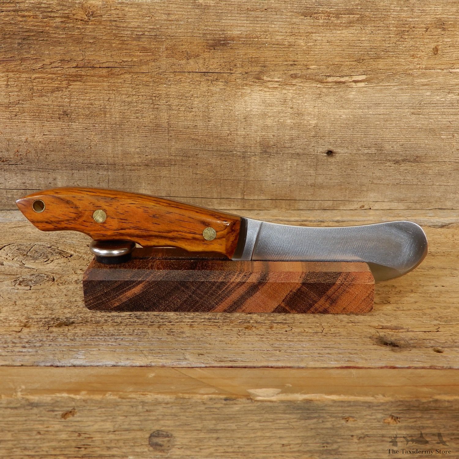 Beavertail Trapper Skinning Knife For Sale #19205 @ The Taxidermy Store