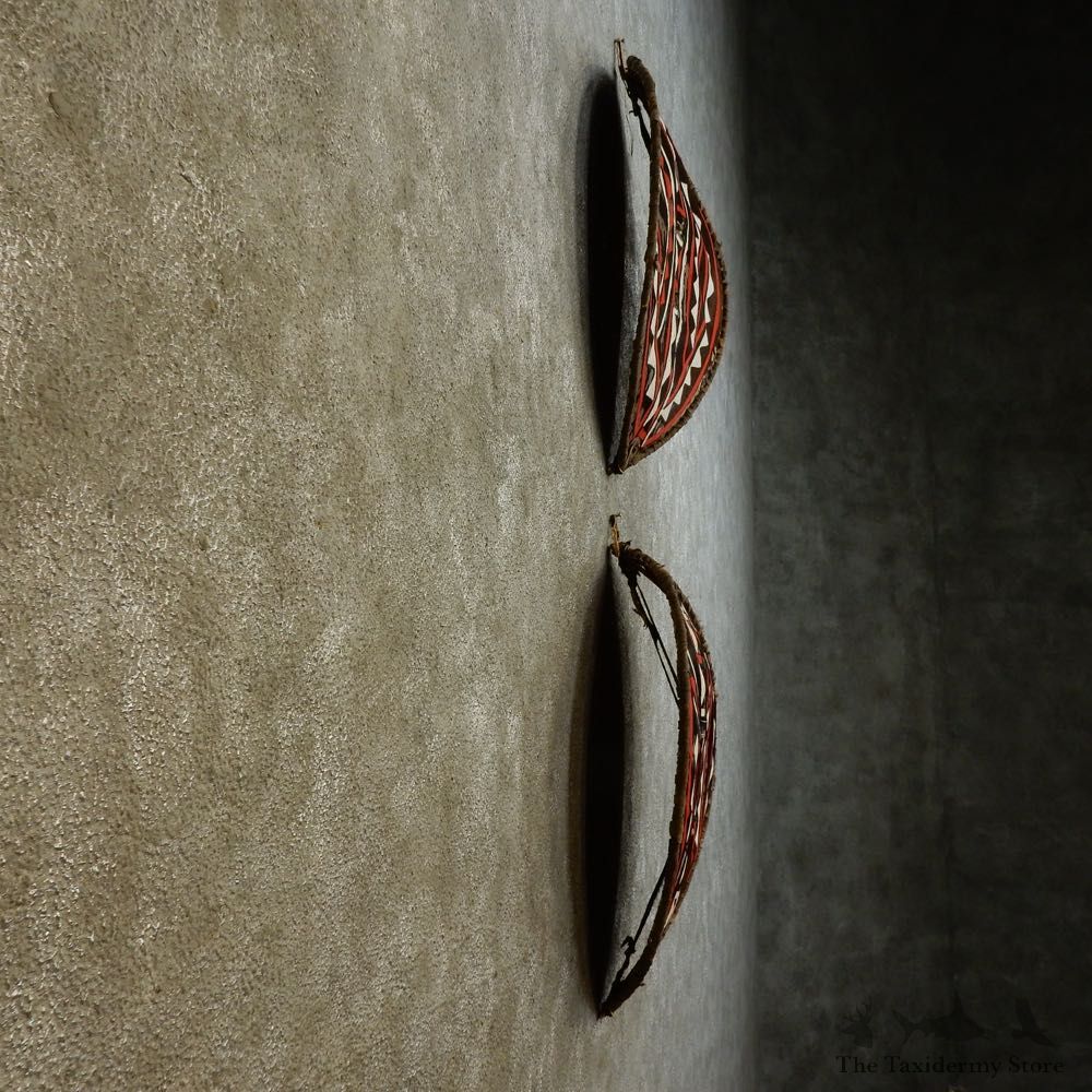 African Massai Warrior Shield Pair For Sale #16533 @ The Taxidermy Store