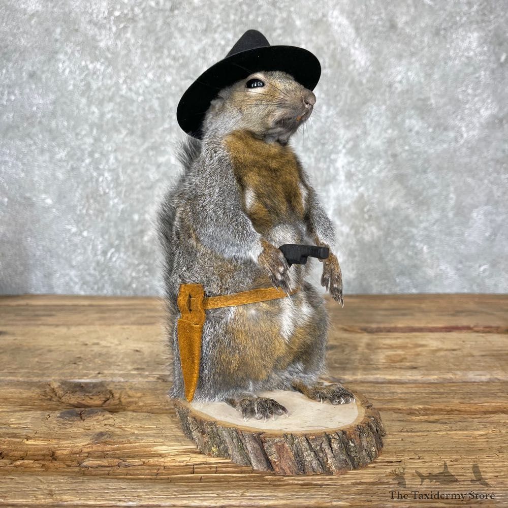 Cowboy Squirrel Novelty Mount For Sale #24355 @ The Taxidermy Store