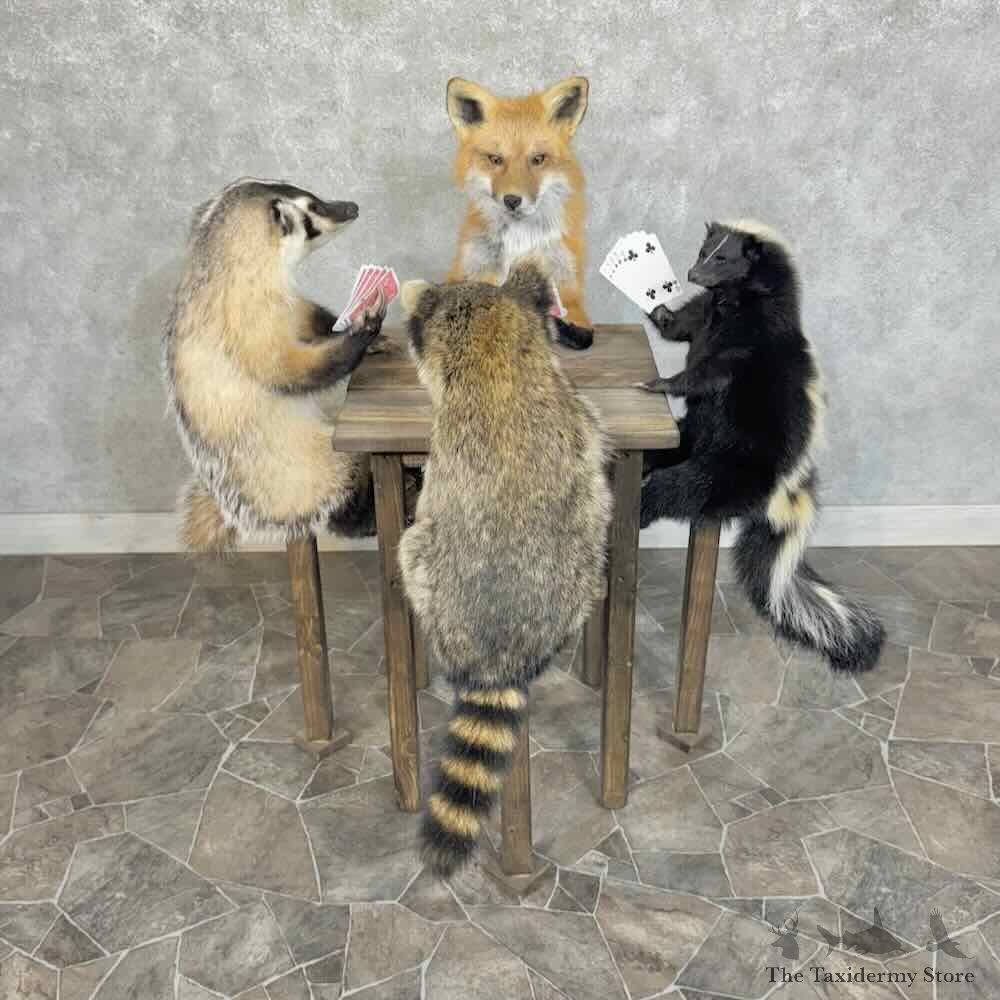 Poker Pals Novelty Mount For Sale #31408 @ The Taxidermy Store