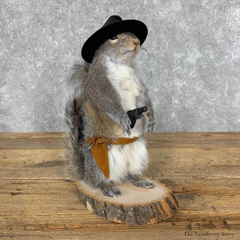 Cowboy Squirrel Novelty Mount For Sale #23046 @ The Taxidermy Store