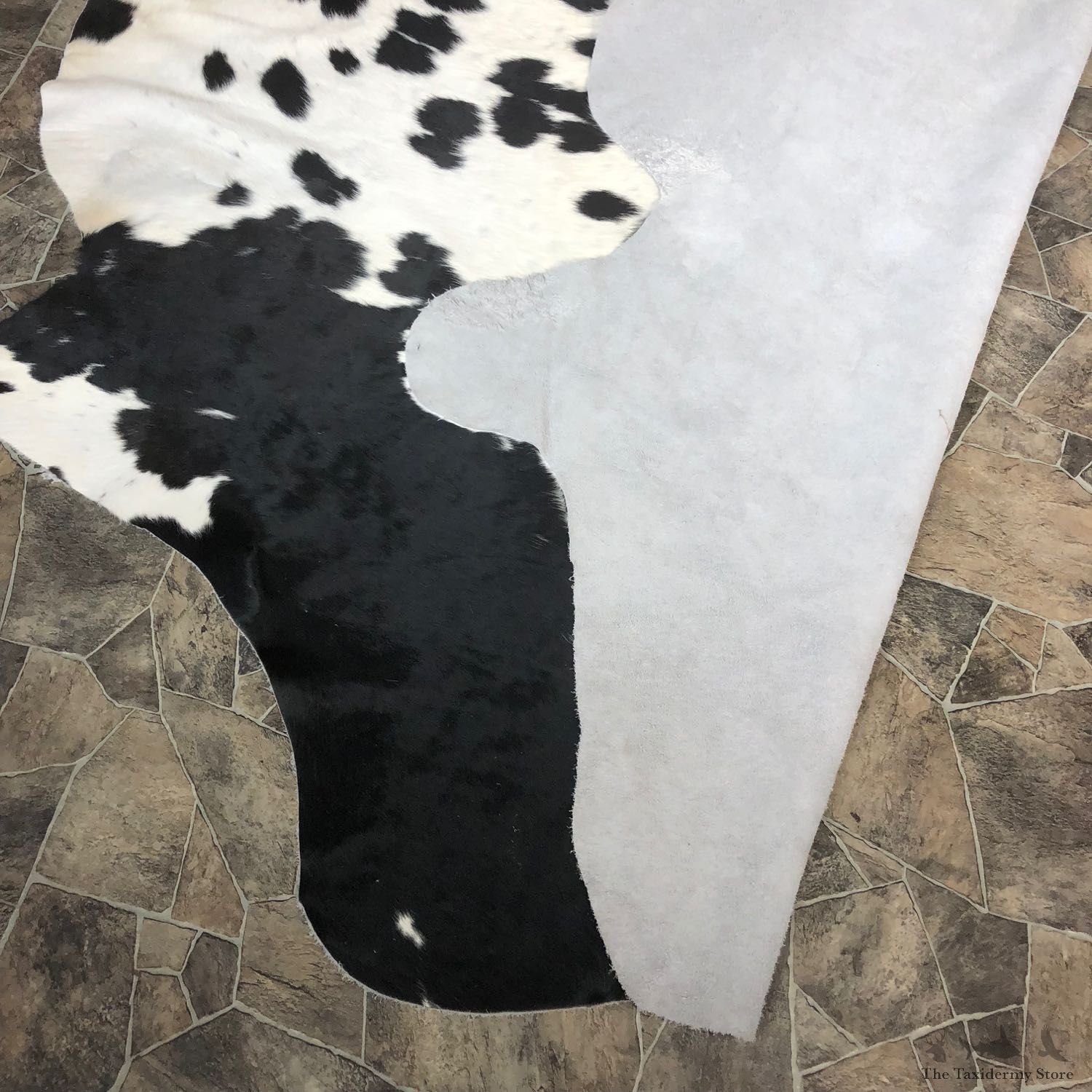 Black and White Cowhide Taxidermy Tanned Skin For Sale #20089 @ The Taxidermy Store