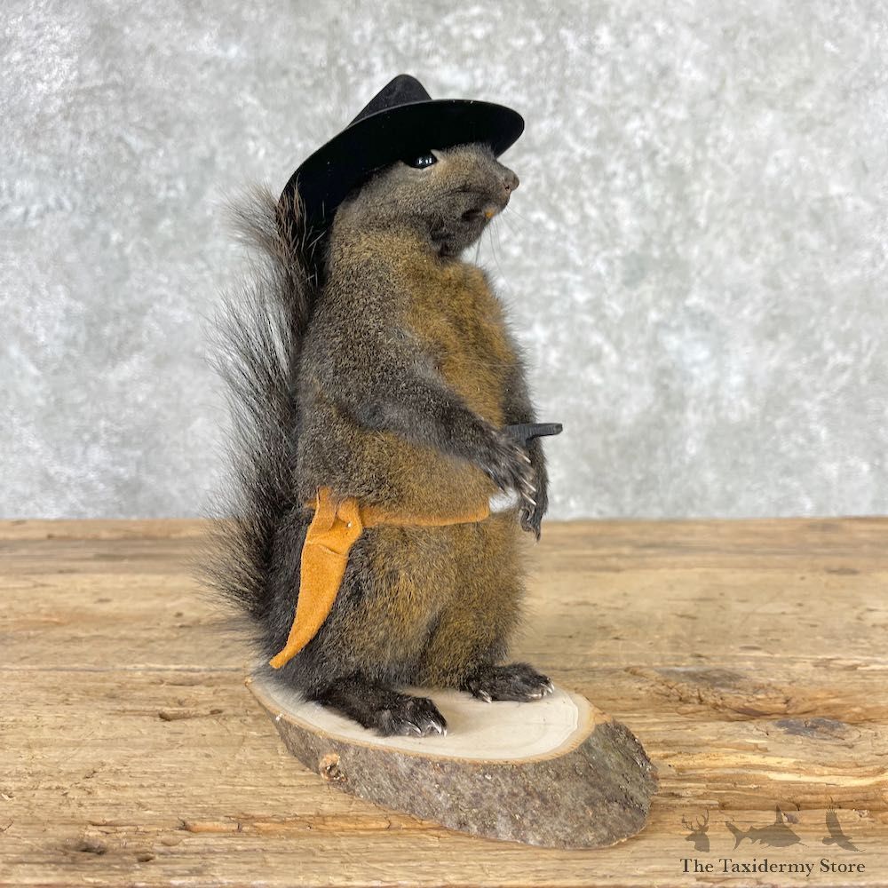Cowboy Squirrel Novelty Mount For Sale #27017 @ The Taxidermy Store