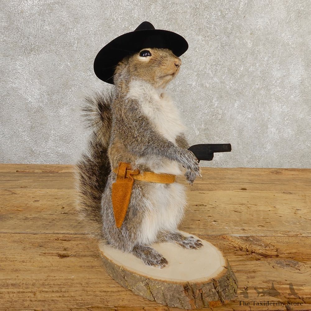 Cowboy Squirrel Novelty Mount For Sale #20717 @ The Taxidermy Store
