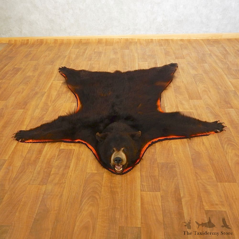 Black Bear Full-Size Rug For Sale #16615 @ The Taxidermy Store