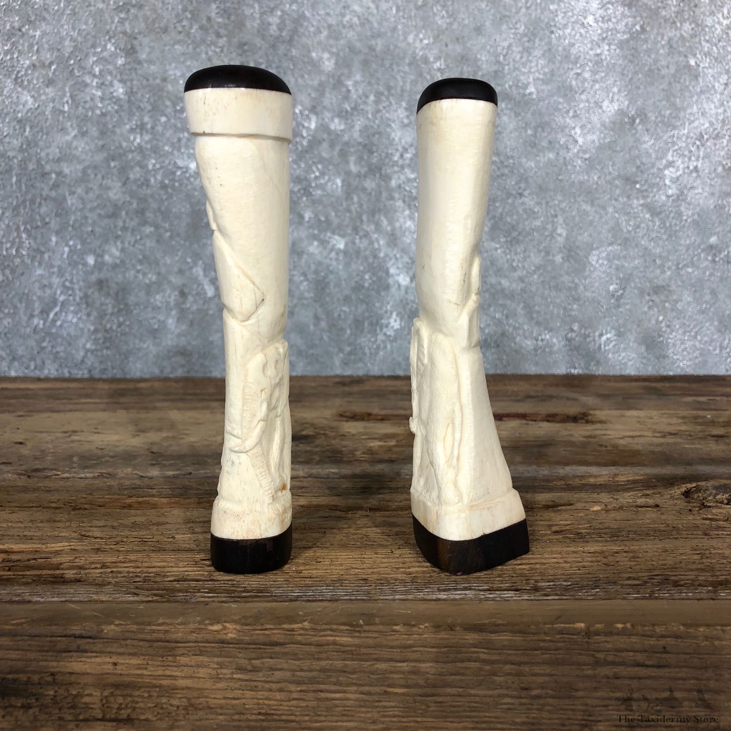 African Giraffe Bone Salt Shakers For Sale #19582 @ The Taxidermy Store