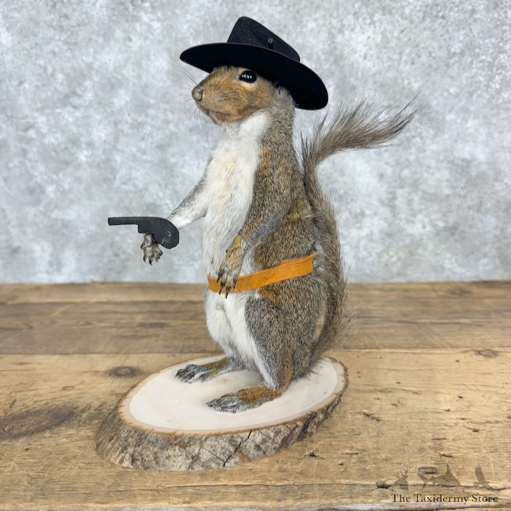 Cowboy Squirrel Novelty Mount For Sale #29480 @ The Taxidermy Store