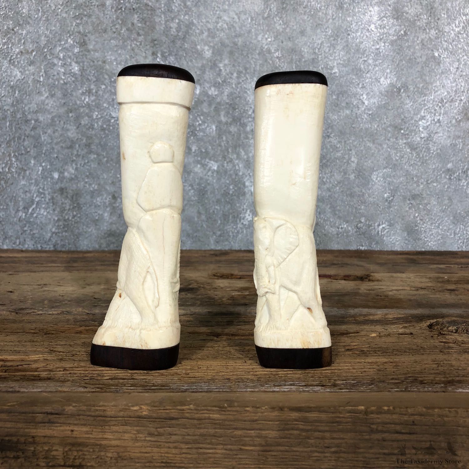 African Giraffe Bone Salt Shakers For Sale #19582 @ The Taxidermy Store