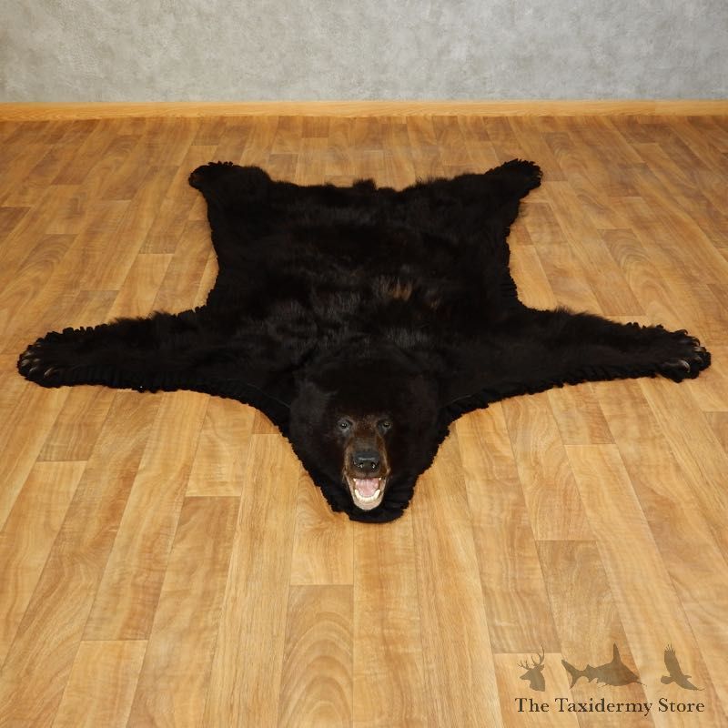 Black Bear Full-Size Rug For Sale #17252 @ The Taxidermy Store