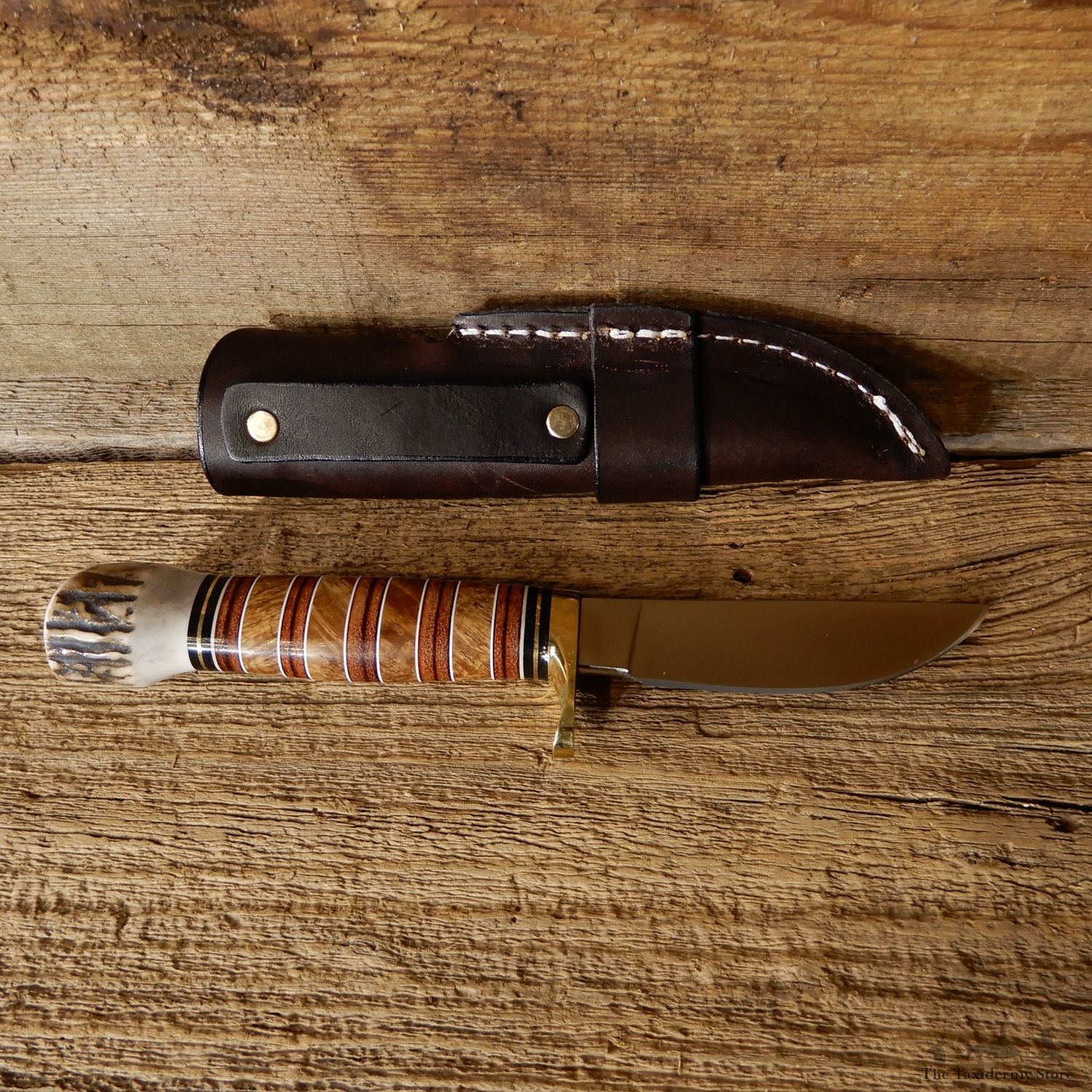 Custom Stacked Leather and Ash Burl Hunting Knife For Sale #19203 @ The Taxidermy Store