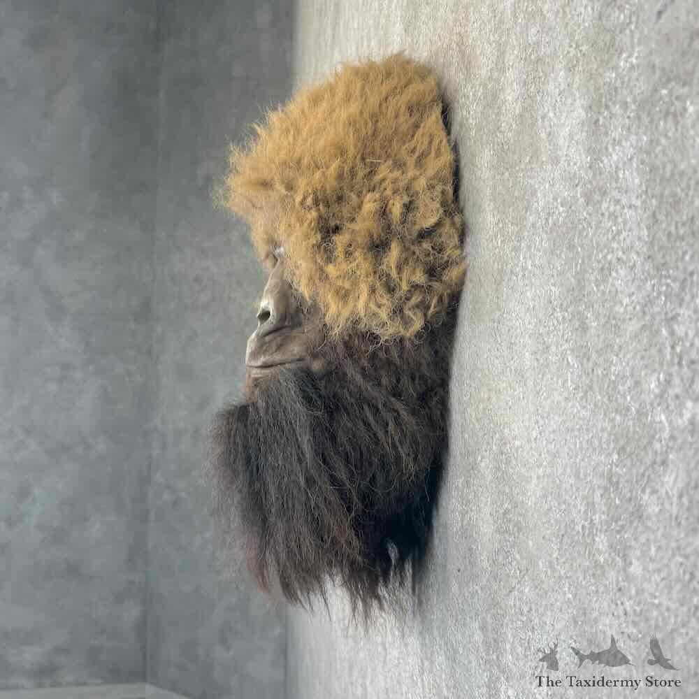 Replica Bigfoot Head Mount For Sale #30918 @ The Taxidermy Store