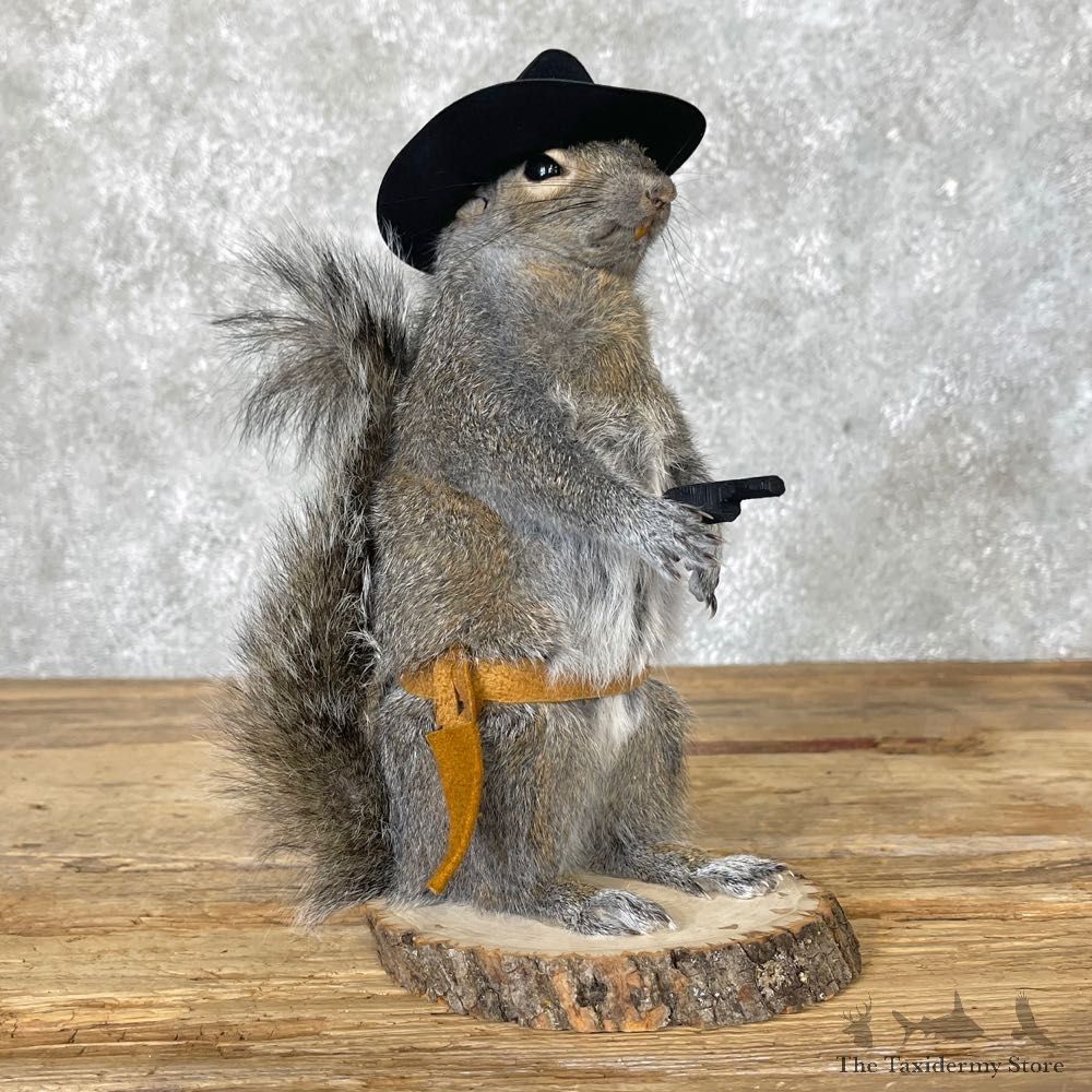 Cowboy Squirrel Novelty Mount For Sale #25024 @ The Taxidermy Store