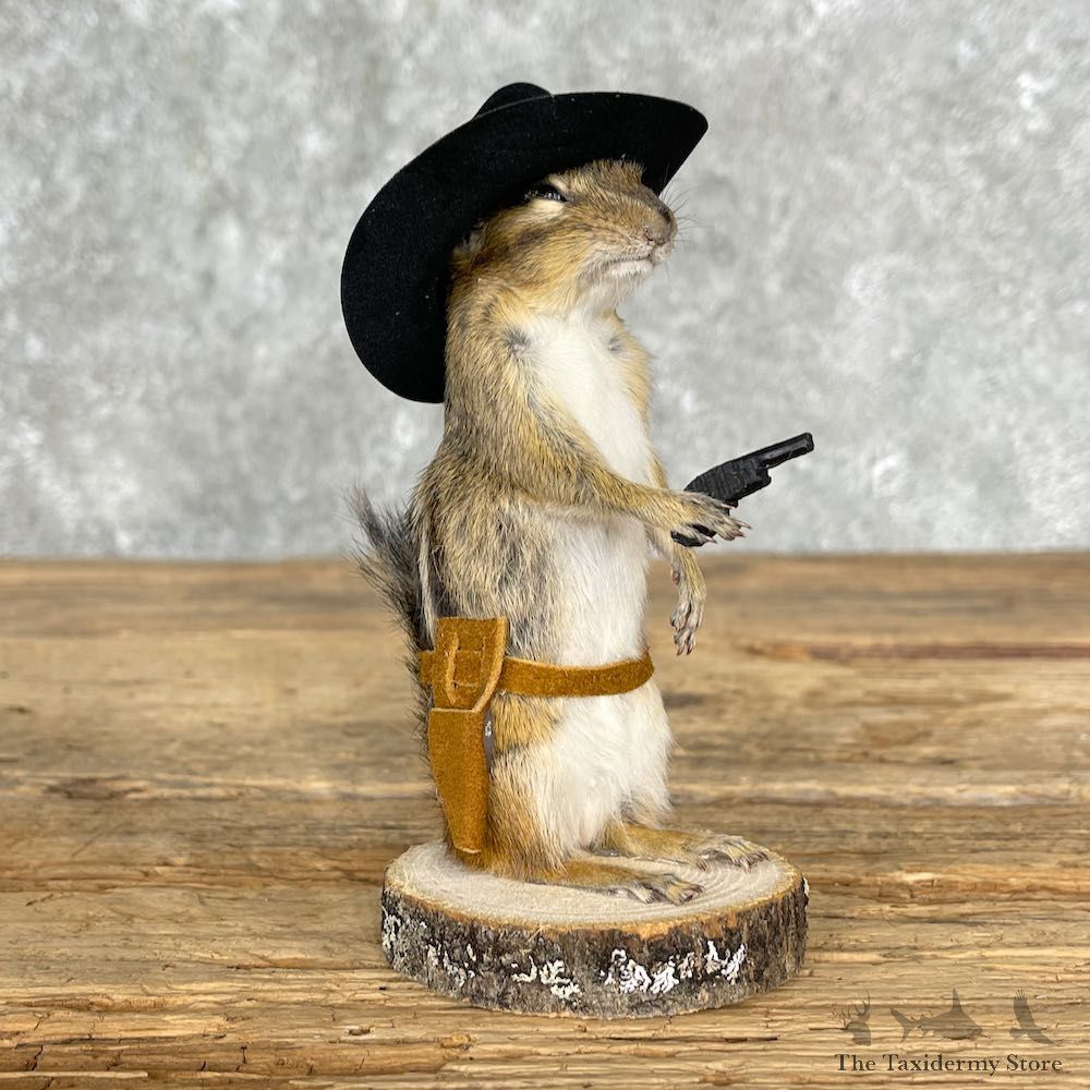 Cowboy Chipmunk Novelty Mount For Sale #25535 @ The Taxidermy Store