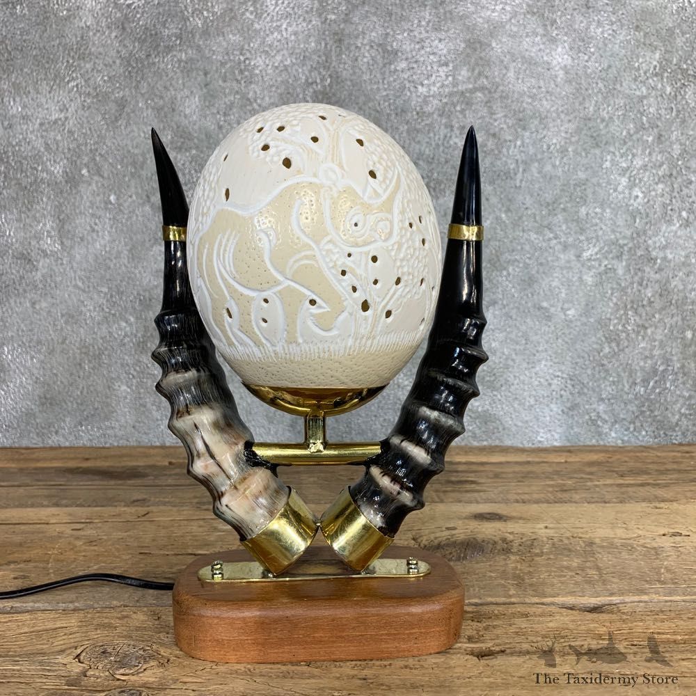 Ostrich Egg Lamp Safari Decor For Sale #22057 @ The Taxidermy Store