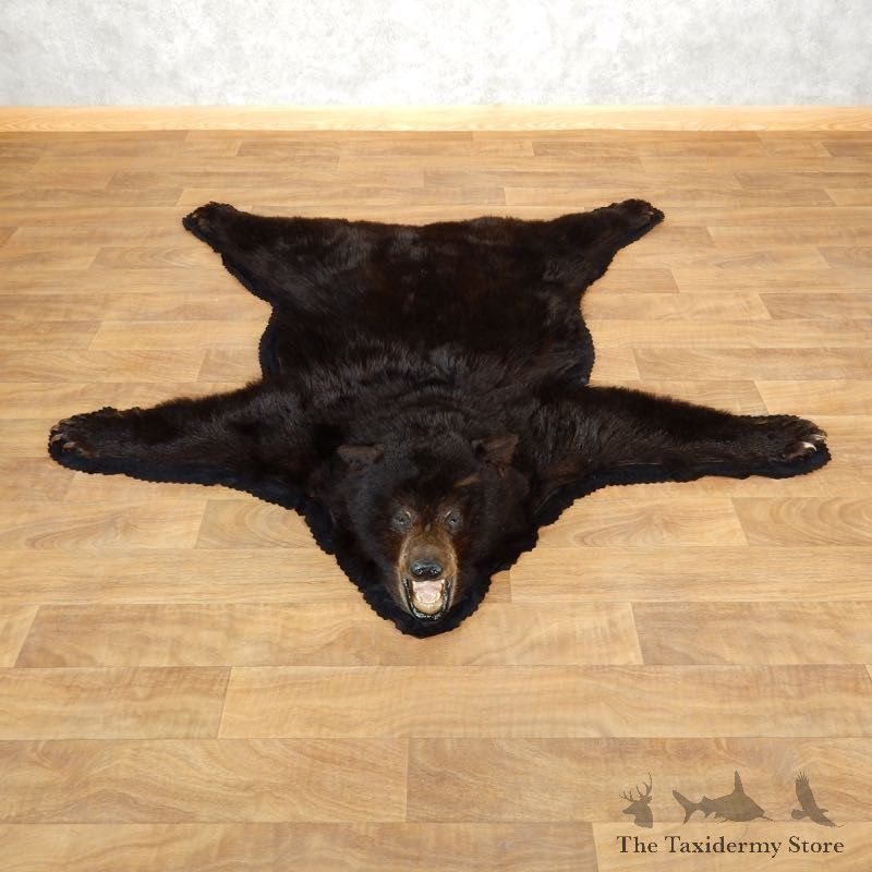 Black Bear Full-Size Rug For Sale #17860 @ The Taxidermy Store