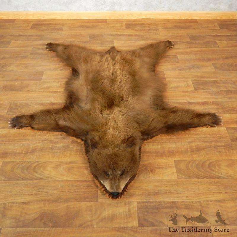 Black Bear Taxidermy Rug with Mounted Head 17856 For Sale @ The Taxidermy Store