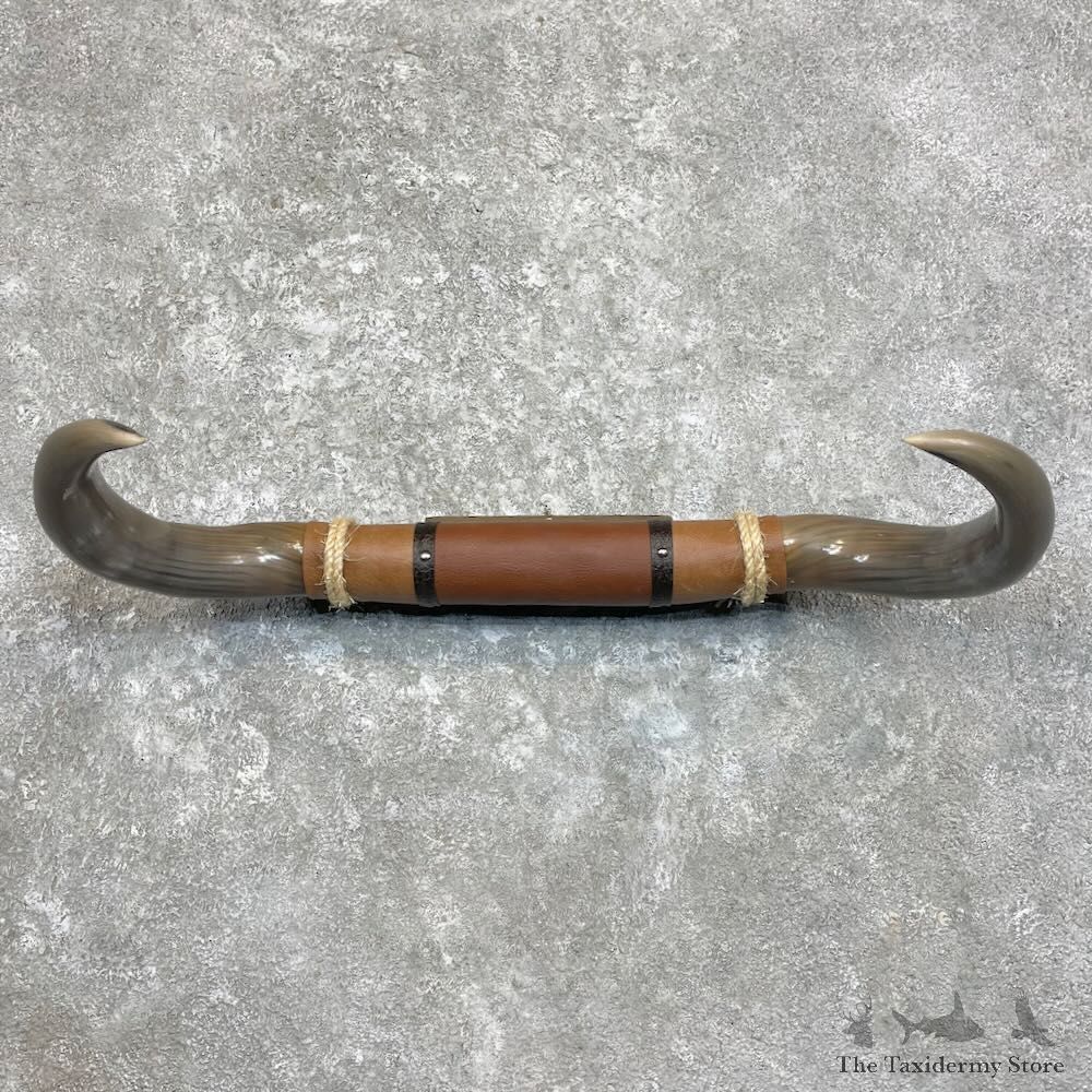 Longhorn Steer Plaque For Sale #27991 @ The Taxidermy Store