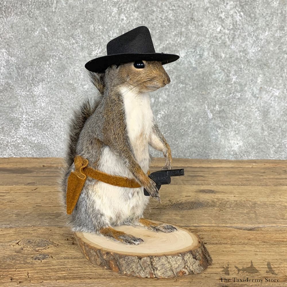 Cowboy Squirrel Novelty Mount For Sale #22442 @ The Taxidermy Store