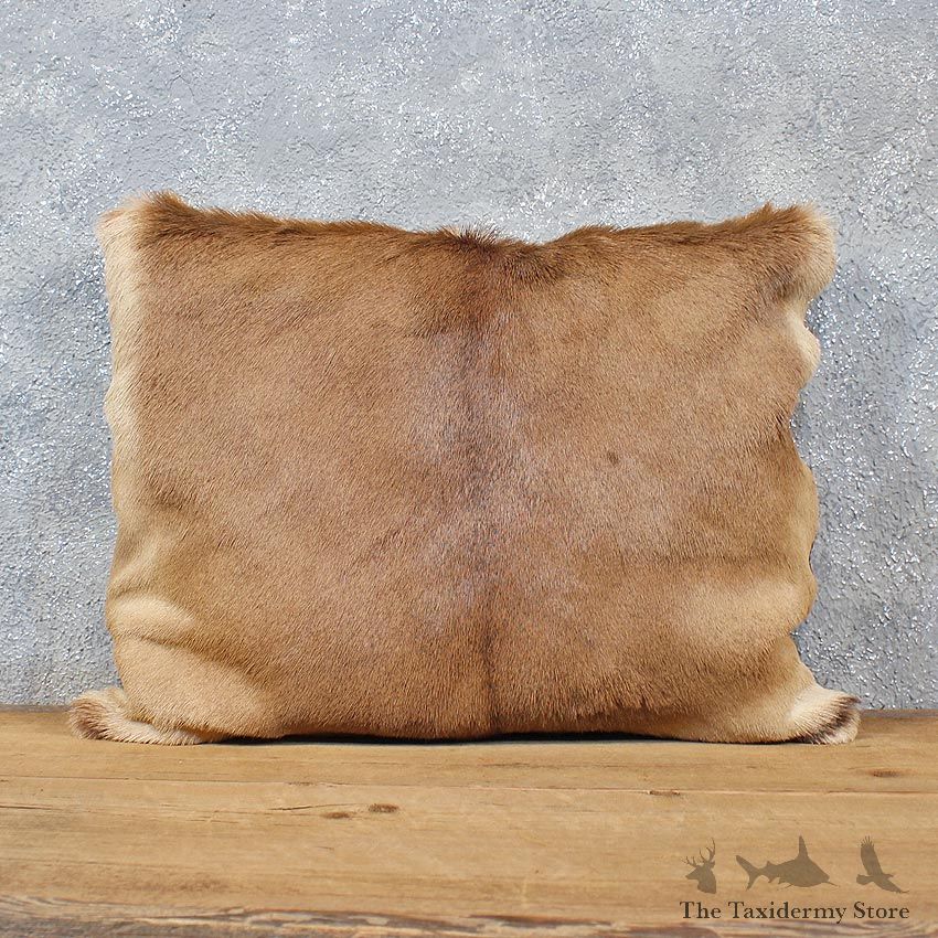 African Impala Hide Pillow #12049 For Sale @ The Taxidermy Store