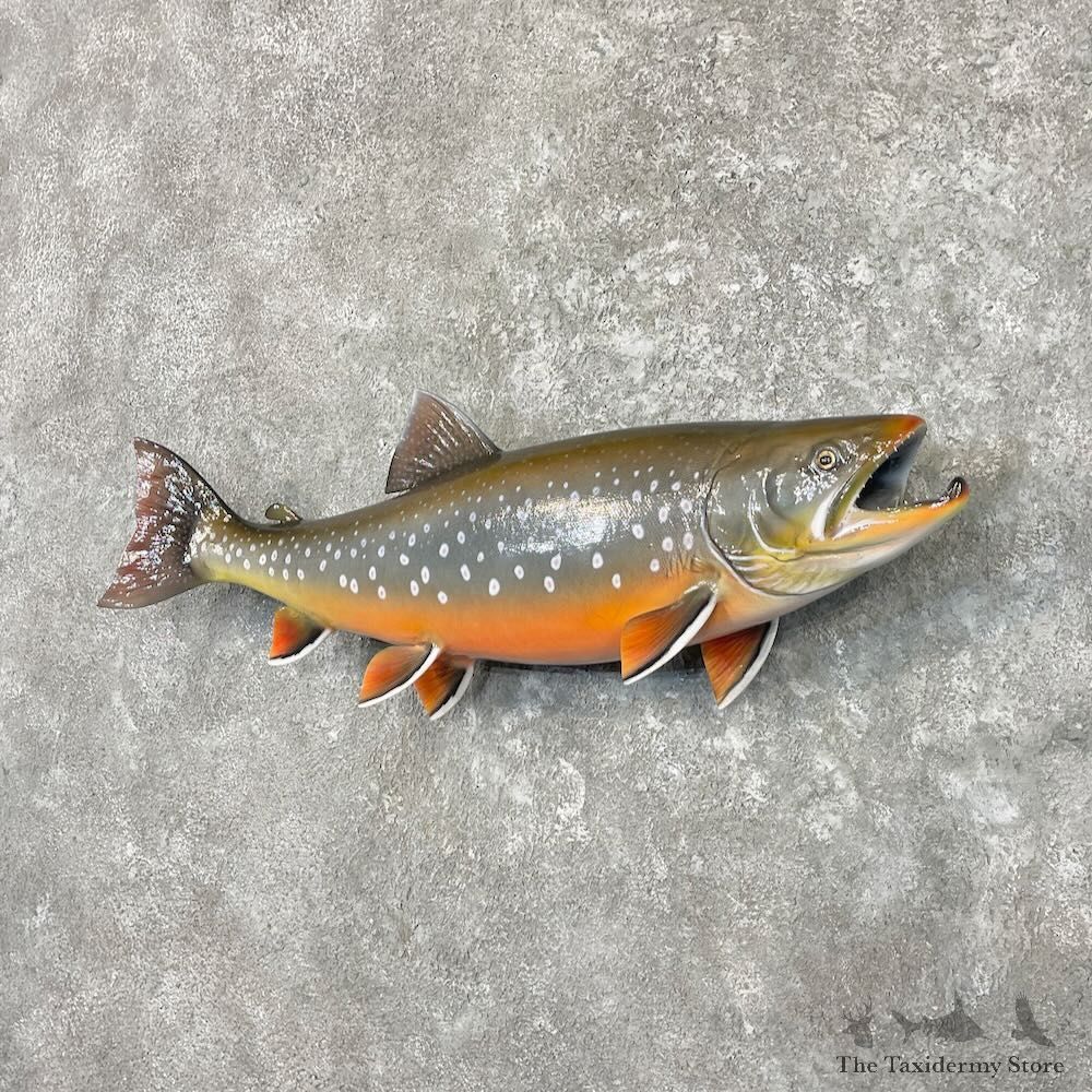Arctic Char Fish Mount For Sale #27721 @ The Taxidermy Store