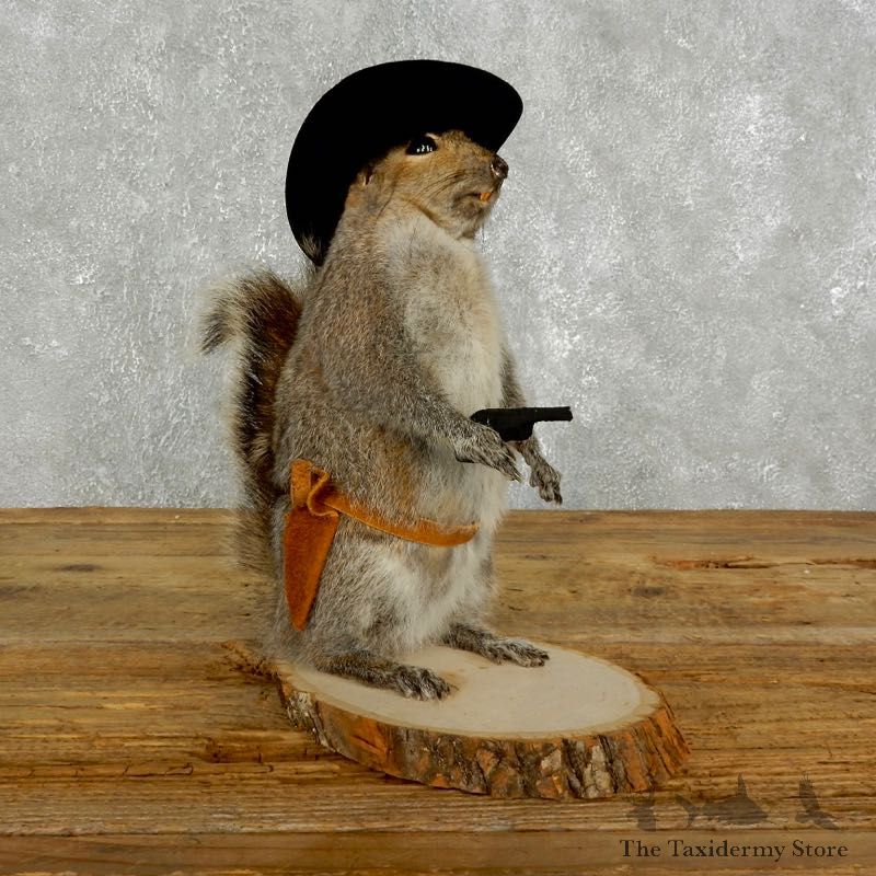 Cowboy Squirrel Novelty Mount For Sale #17619 @ The Taxidermy Store