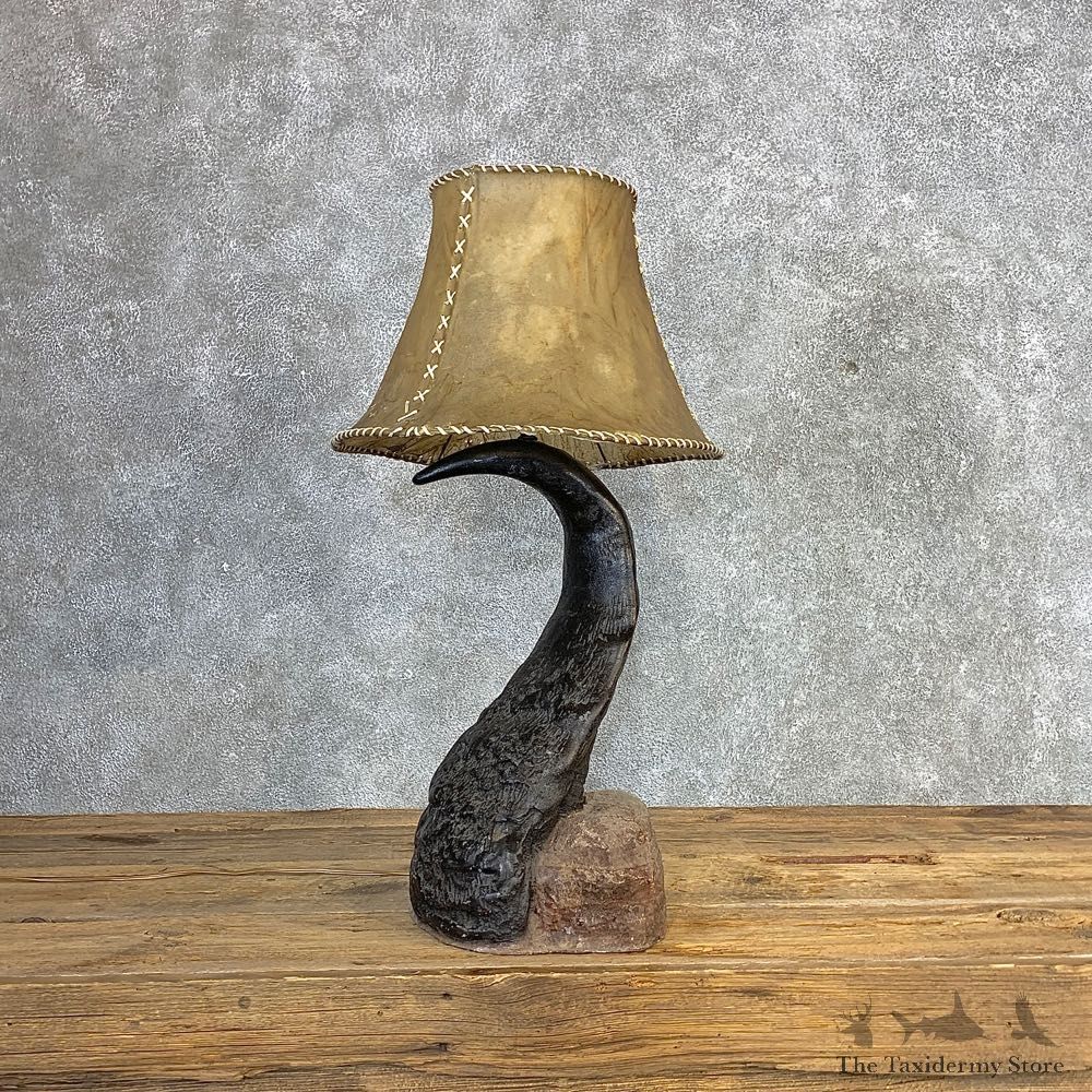 Cape Buffalo Horn Lamp For Sale #21282 @ The Taxidermy Store