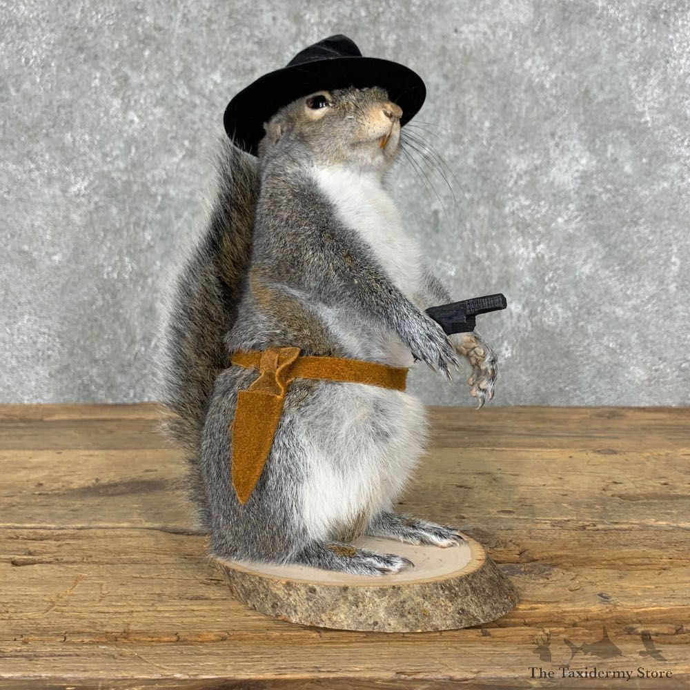Cowboy Squirrel Novelty Mount For Sale #23047 @ The Taxidermy Store