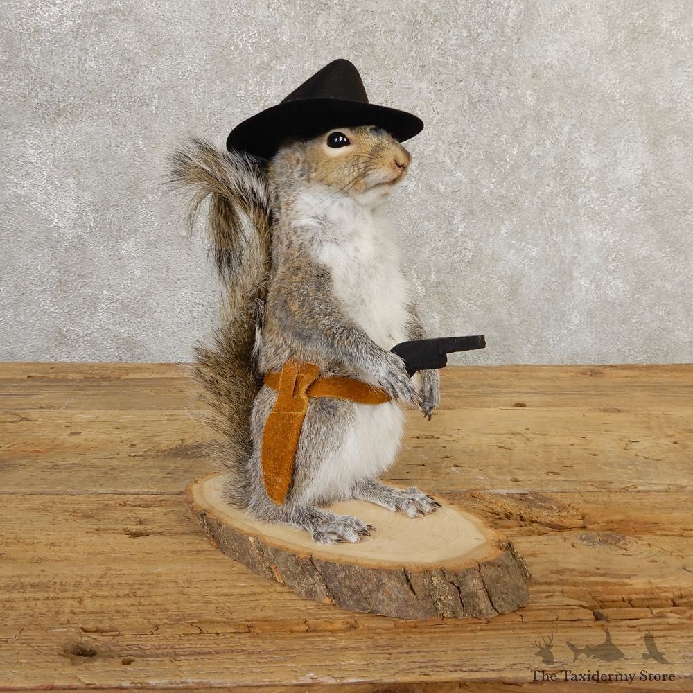 Cowboy Squirrel Novelty Mount For Sale #20714 @ The Taxidermy Store