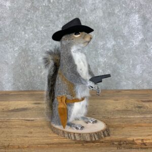 Cowboy Squirrel Novelty Mount For Sale #23053 @ The Taxidermy Store