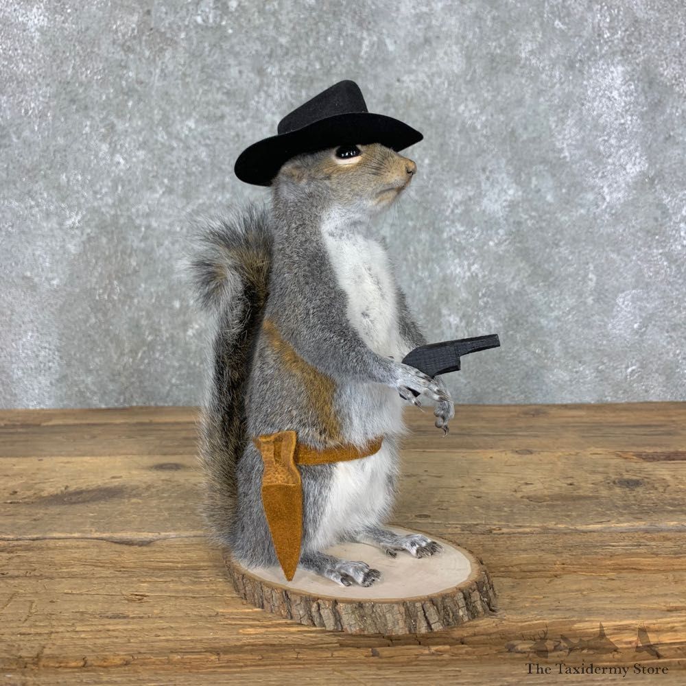 Cowboy Squirrel Novelty Mount For Sale #23053 @ The Taxidermy Store