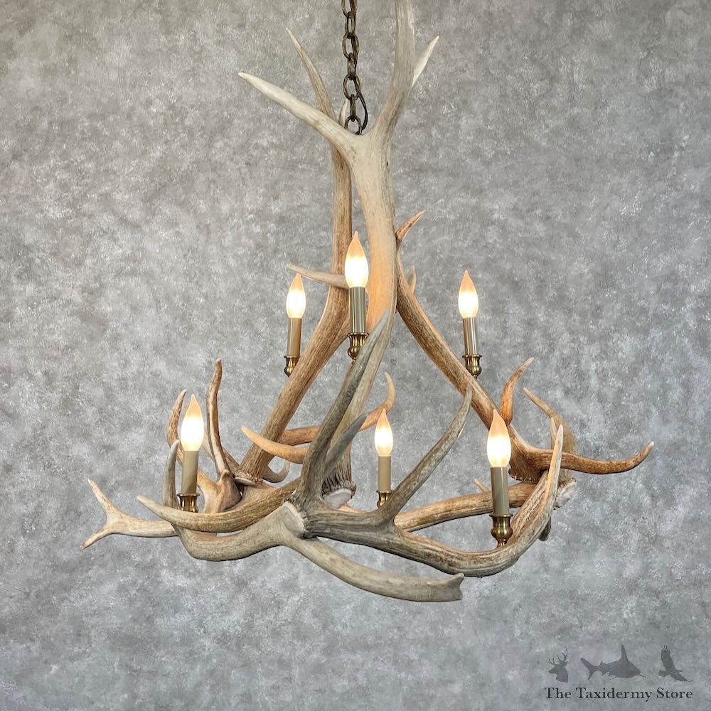 Elk Antler Chandelier For Sale #28733 @ The Taxidermy Store