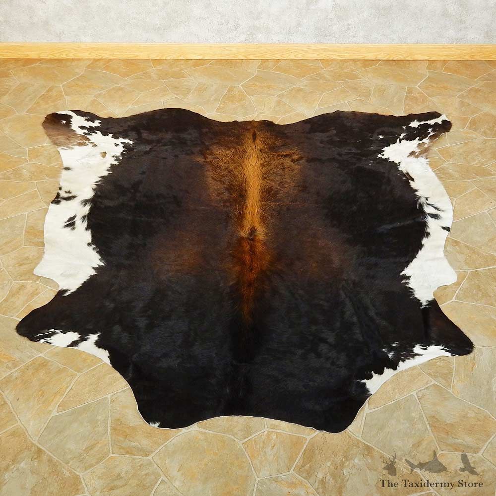 Cow Hide For Sale #15702 @ The Taxidermy Store