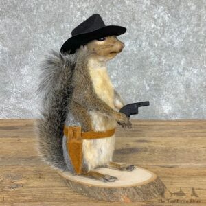 Cowboy Squirrel Novelty Mount For Sale #22440 @ The Taxidermy Store