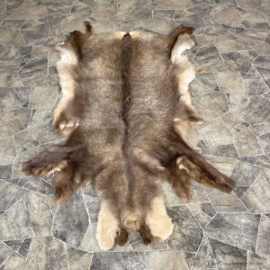 Chamois Tanned Hide For Sale #25266 @ The Taxidermy Store
