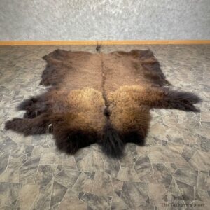 American Buffalo Bison Taxidermy Hide For Sale #24680 - The Taxidermy Store