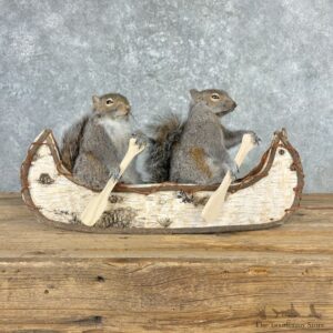 Canoeing Squirrels Novelty Mount For Sale #27008 @ The Taxidermy Store