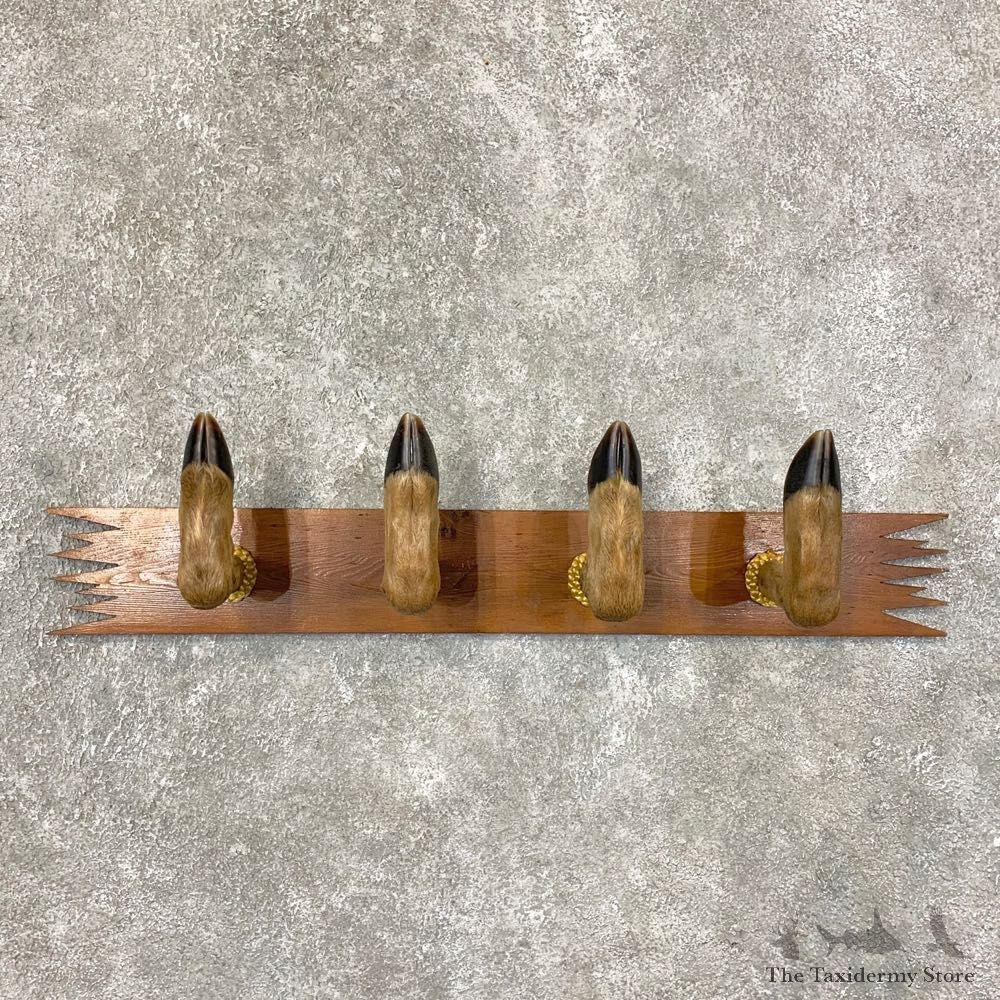 Whitetail Deer Hoof Gun Rack Taxidermy Mount For Sale #22338 @ The Taxidermy Store