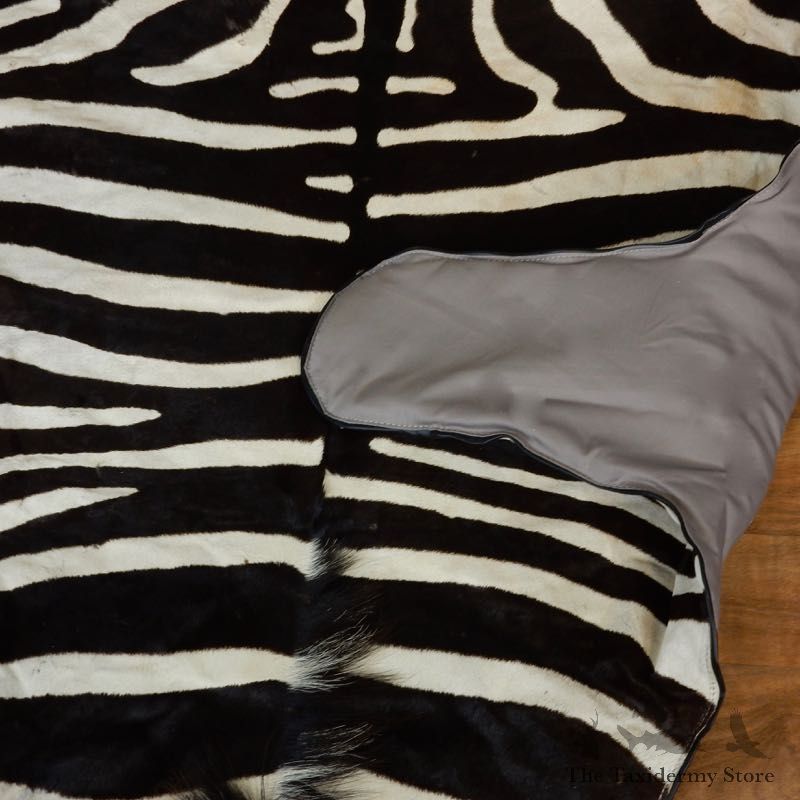 African Zebra Full-Size Taxidermy Rug For Sale #17855 @ The Taxidermy Store