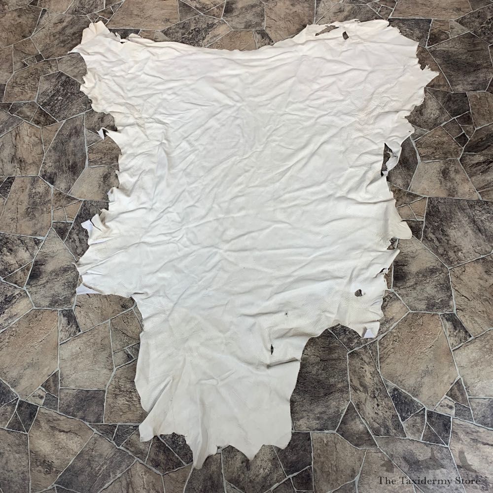 Buckskin Soft Tan Leather For Sale #22036 @ The Taxidermy Store