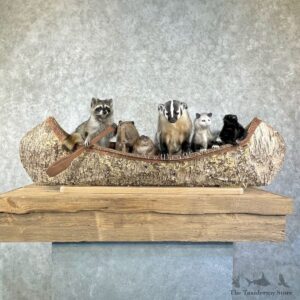 Canoeing Pals Novelty Mount For Sale #26210 @ The Taxidermy Store