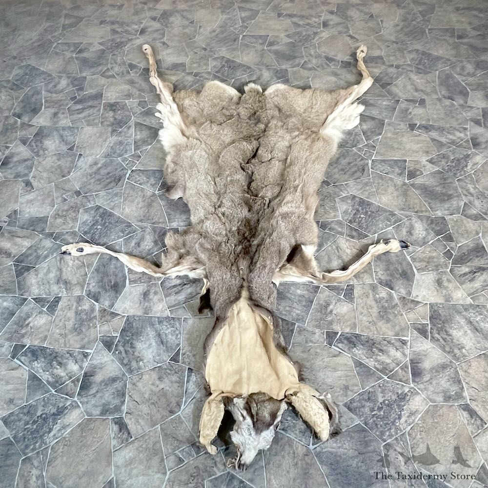 Mule Deer Tanned Hide For Sale #27916 @ The Taxidermy Store