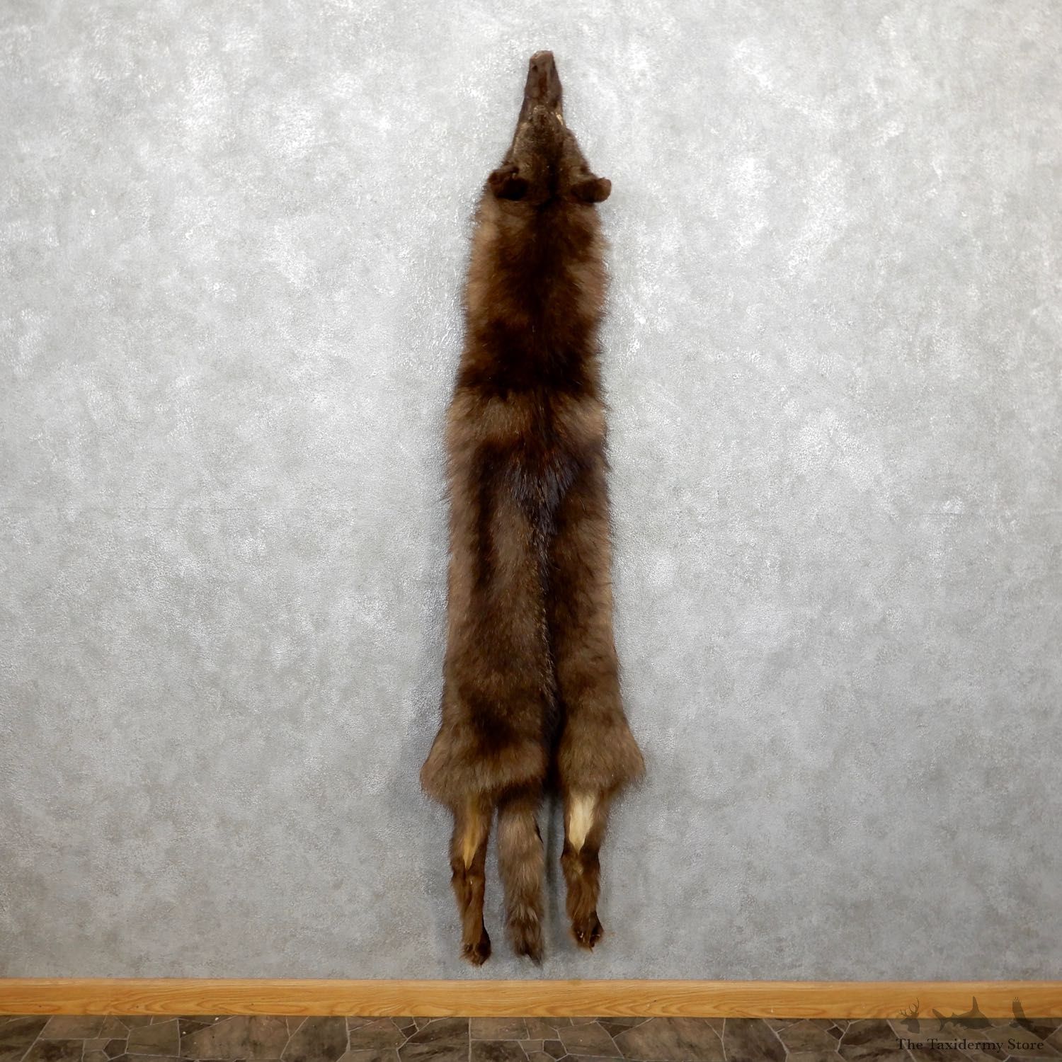 Alaskan Wolf Tanned Hide For Sale #19426 @ The Taxidermy Store