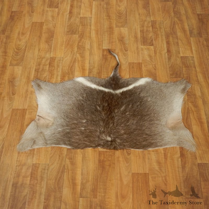 Waterbuck Hide Mount For Sale #17457 @ The Taxidermy Store
