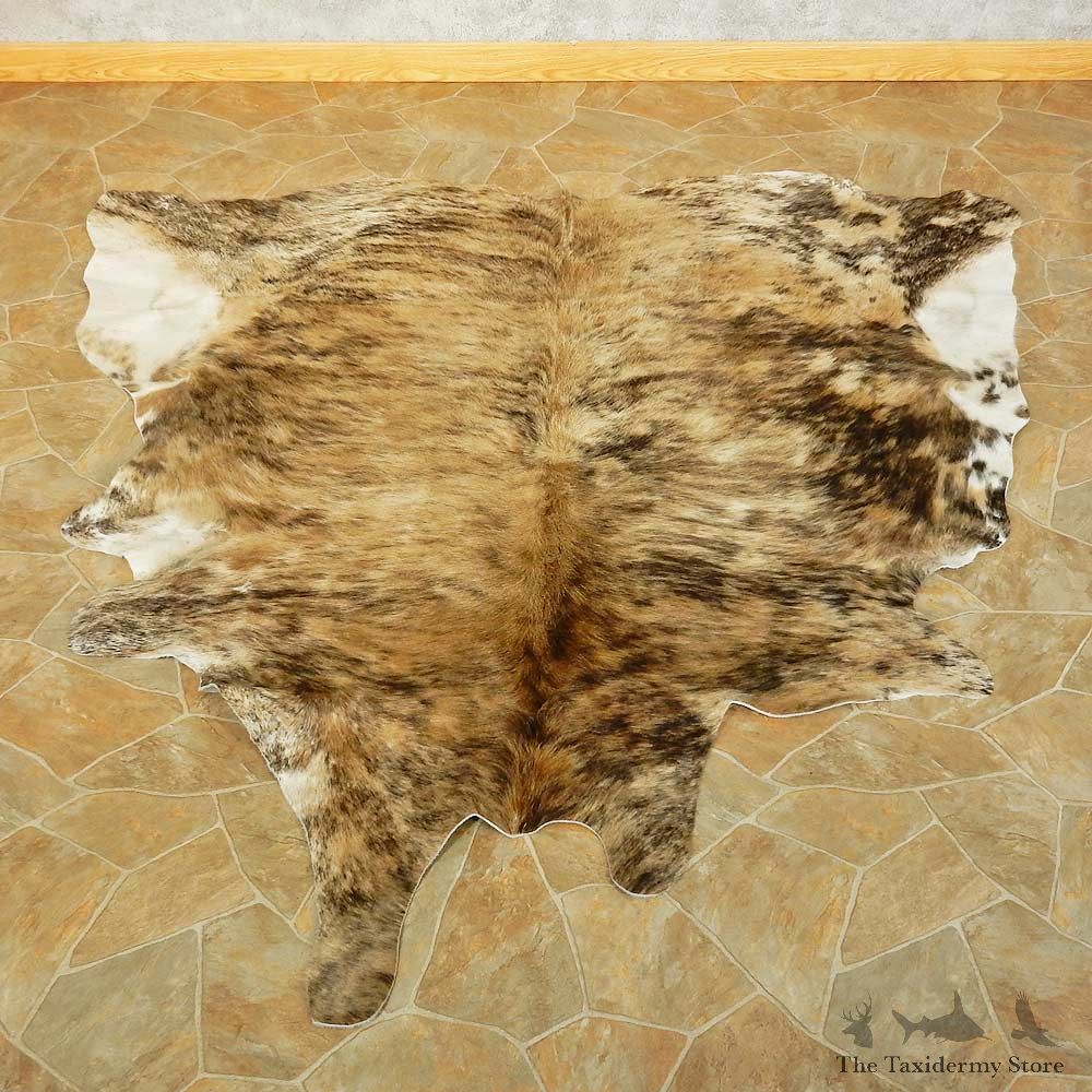Cow Hide For Sale #15703 @ The Taxidermy Store