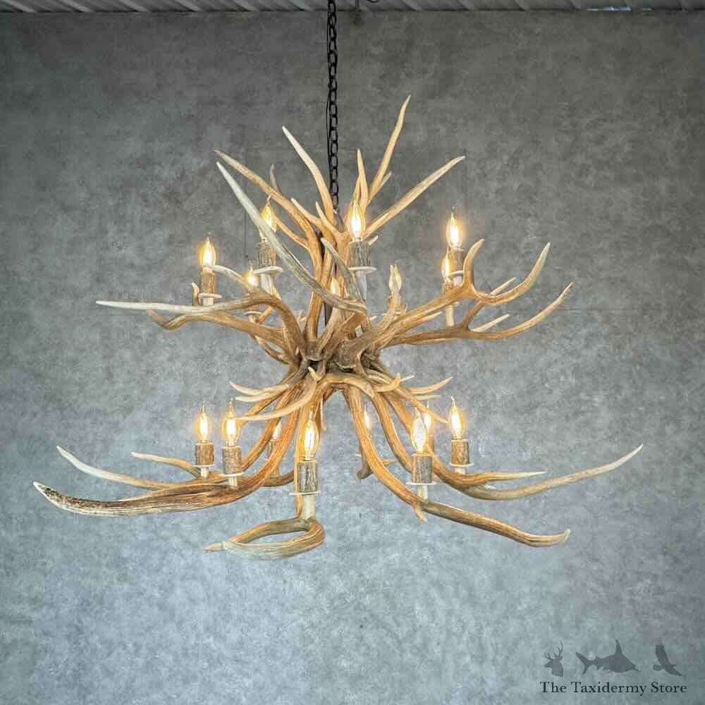 Axis Deer Antler Chandelier For Sale #31643 @ The Taxidermy Store