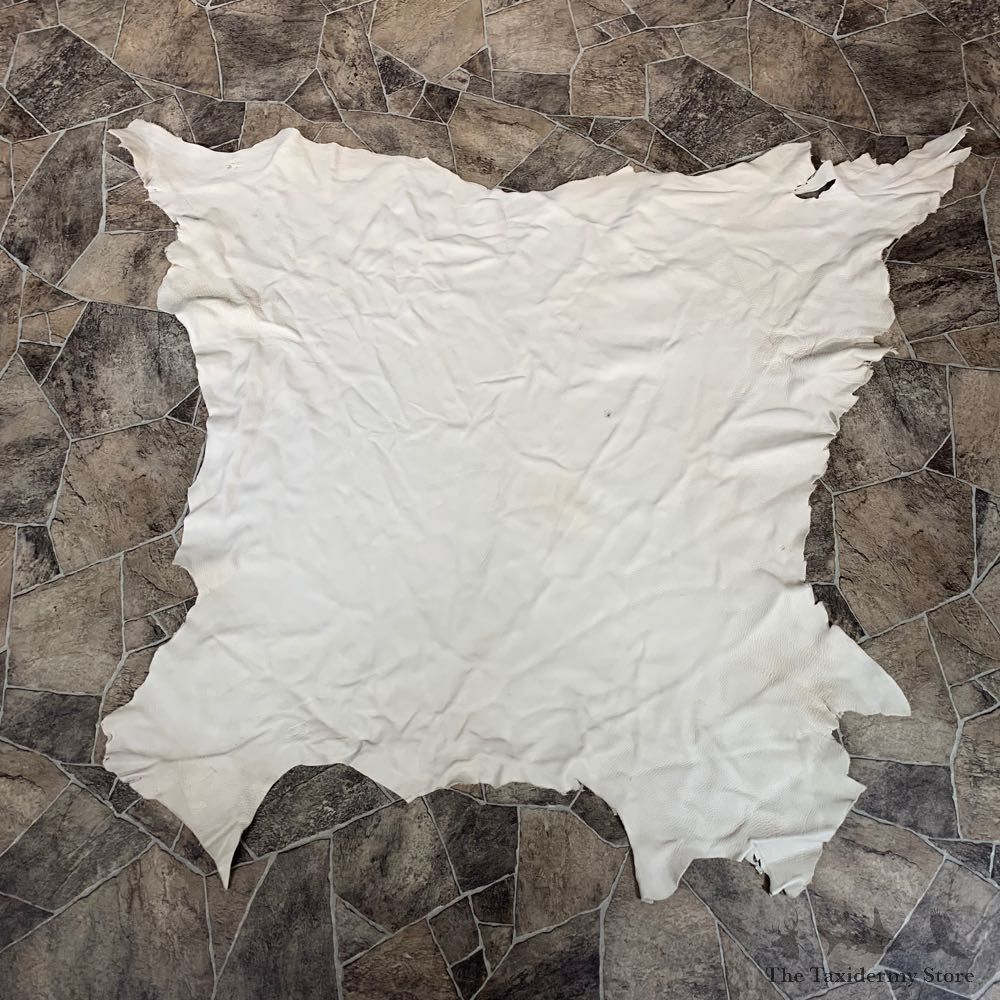 Buckskin Soft Tan Leather For Sale #22032 @ The Taxidermy Store